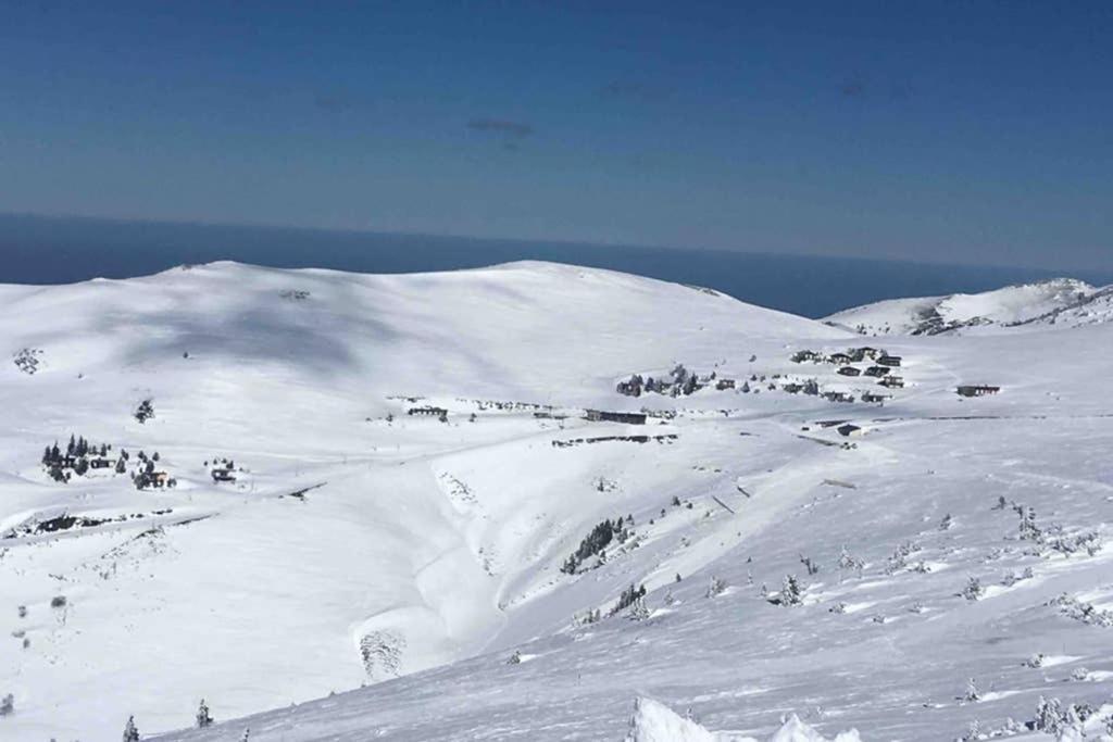 Chalet Ascou-Pailheres Exteriér fotografie